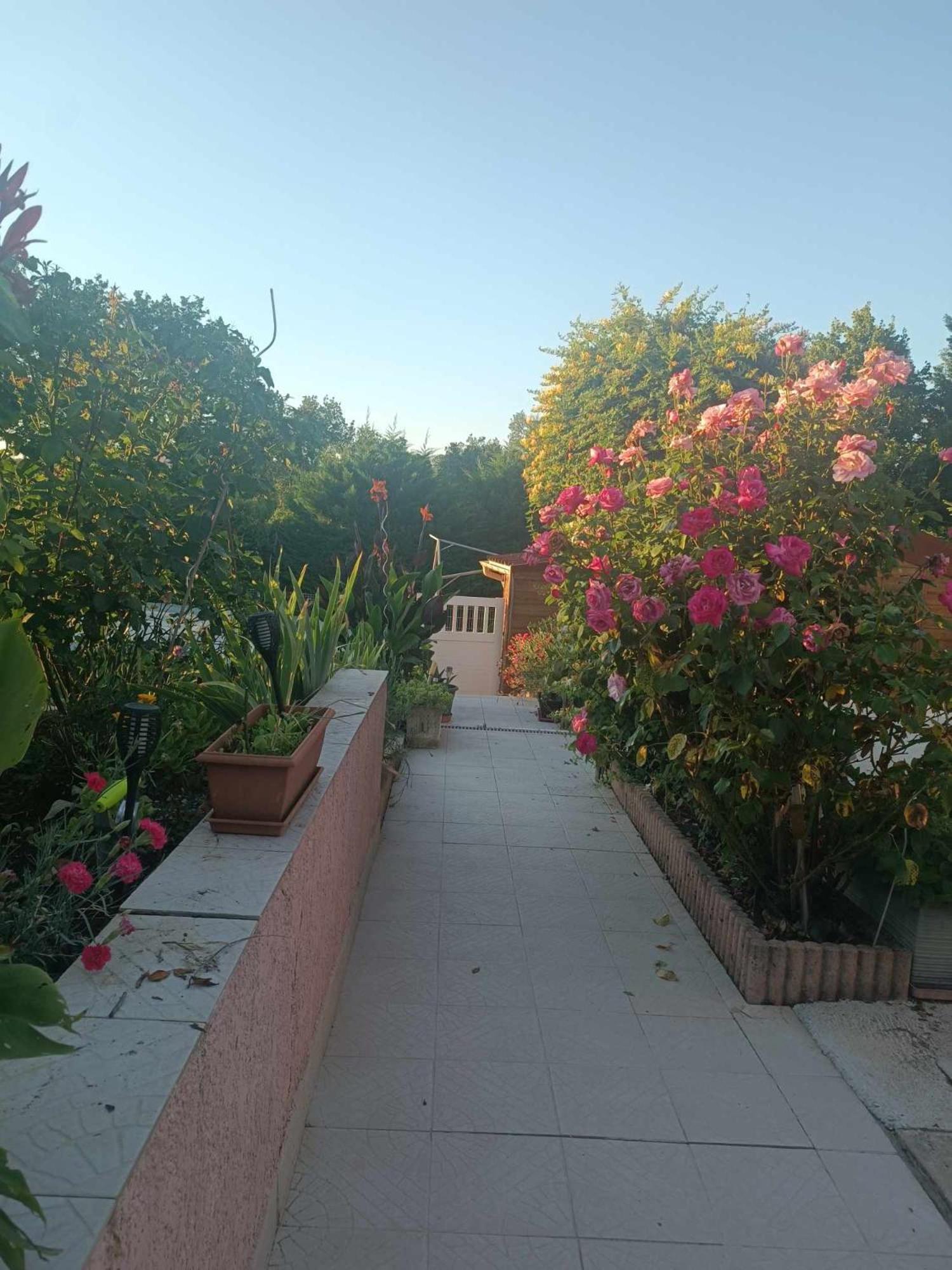 Appartement Rural Du Domaine Des Imbertaries Puylaurens