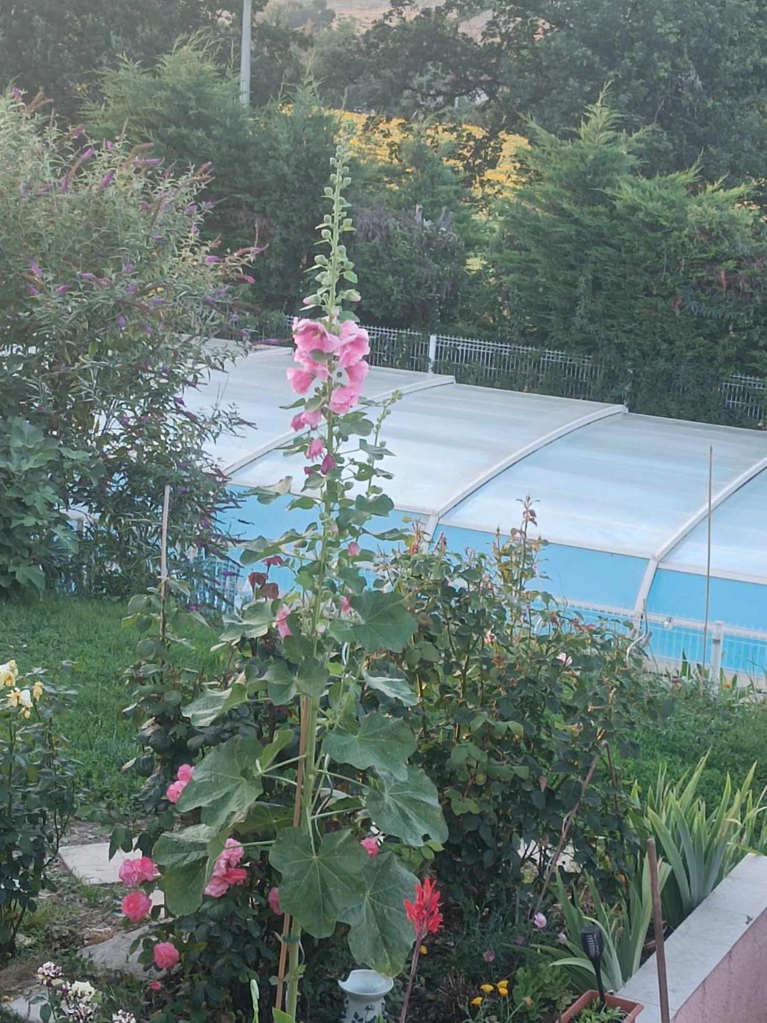 Rural Du Domaine Des Imbertaries Appartement *